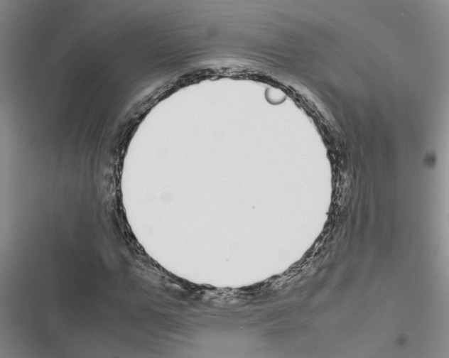 X0000116560967201001211219