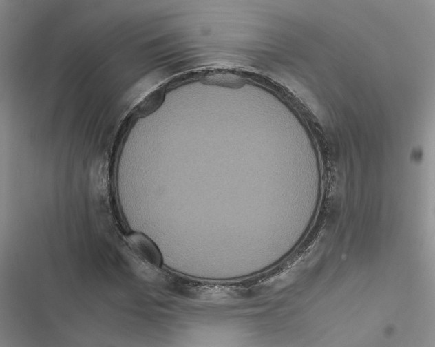 X0000116560969201001211219