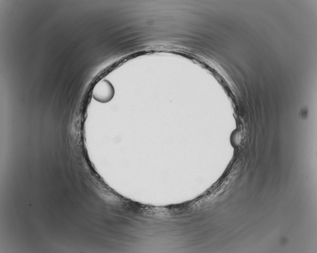 X0000116560971201001211219