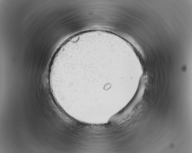 X0000116560972201001211219