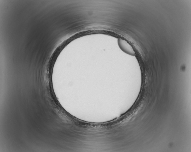 X0000116560973201001211219