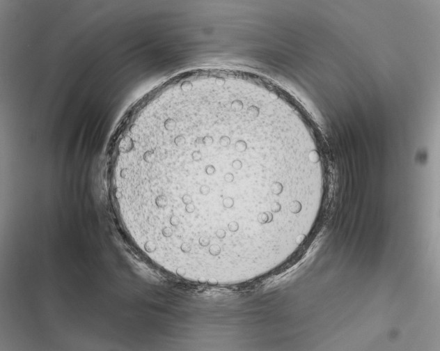 X0000116560974201001211219