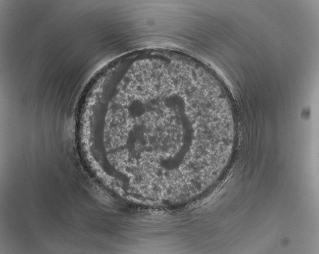 X0000116560975201001211219