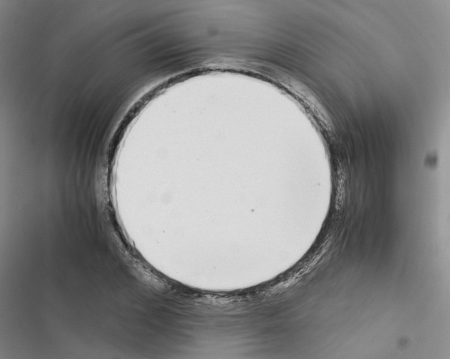 X0000116560976201001211219