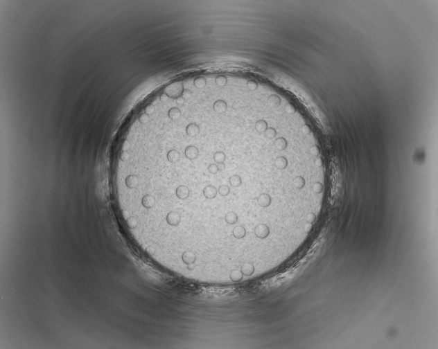 X0000116560978201001211219