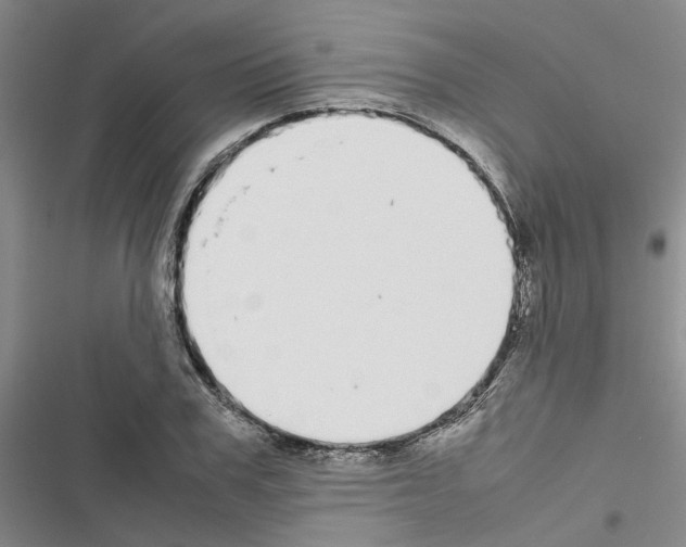 X0000116560979201001211219