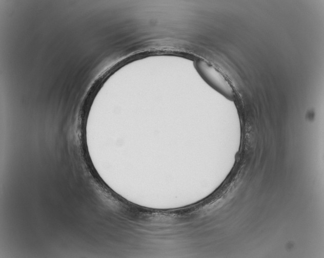 X0000116560981201001211219