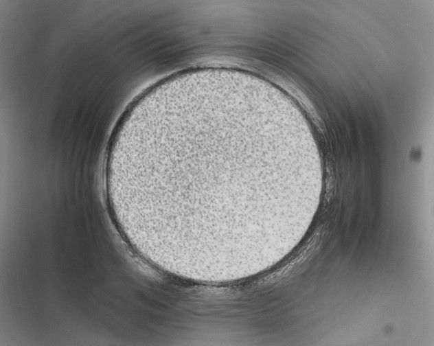 X0000116560984201001211219