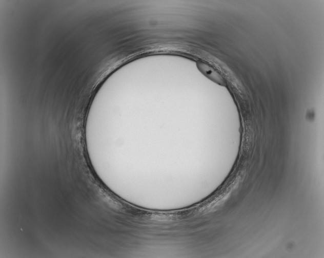 X0000116560985201001211219