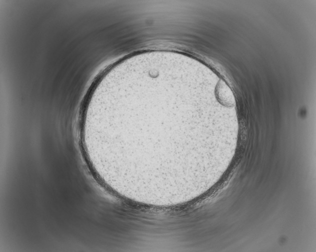 X0000116560987201001211219