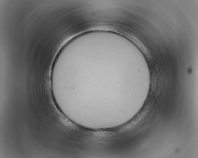 X0000116560988201001211219