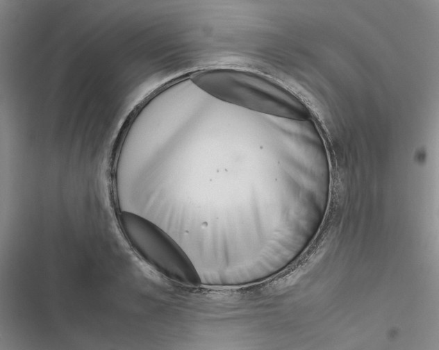 X0000116560989201001211219