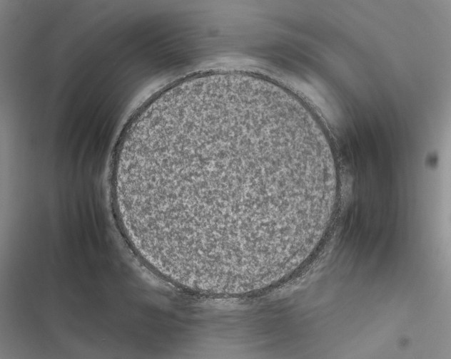 X0000116560990201001211219