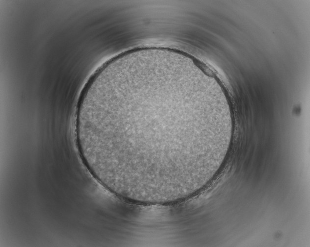X0000116560992201001211219