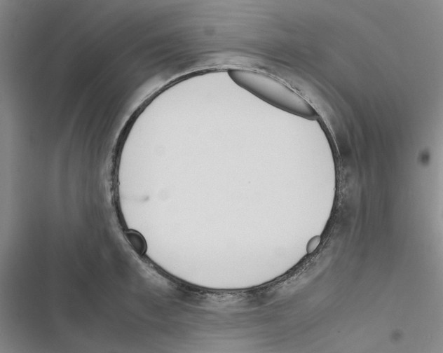 X0000116560997201001211219