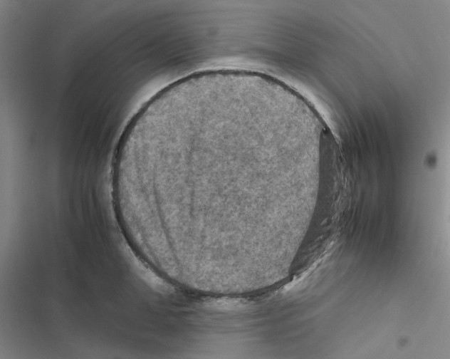 X0000116560998201001211219