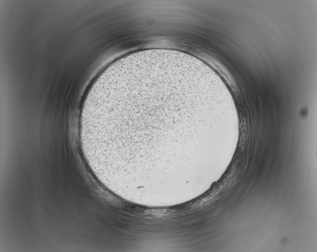 X0000116561000201001211219