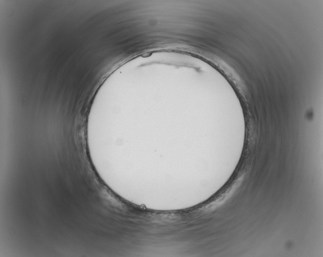 X0000116561001201001211219