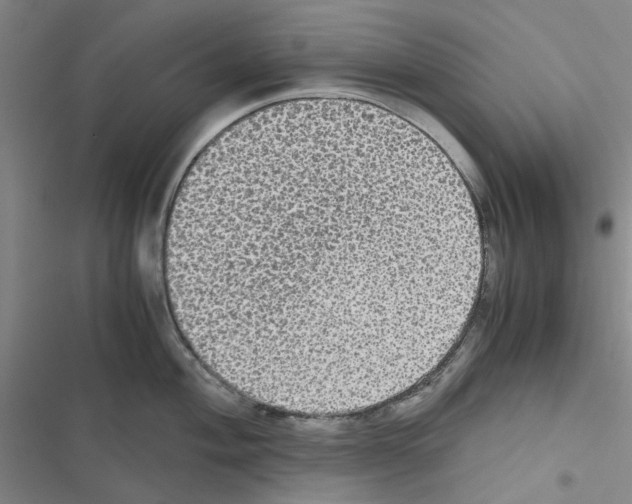 X0000116561004201001211219