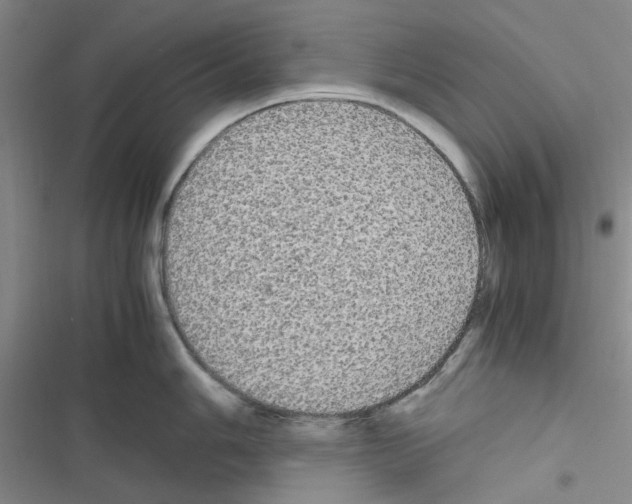X0000116561006201001211219