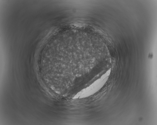 X0000116561009201001211218