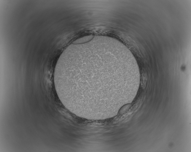 X0000116561010201001211218