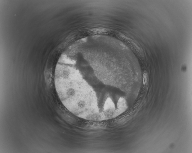 X0000116561011201001211218