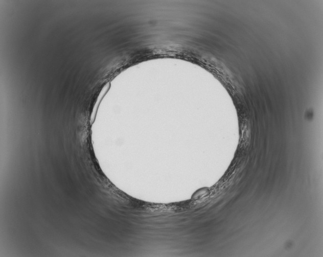 X0000116561012201001211218