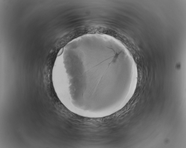 X0000116561013201001211218