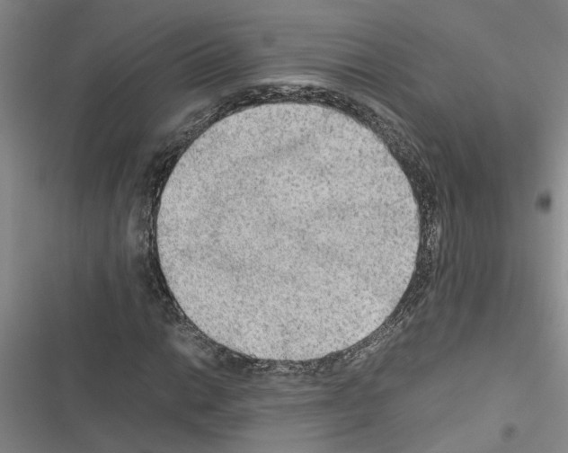 X0000116561014201001211218