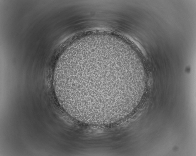 X0000116561015201001211218
