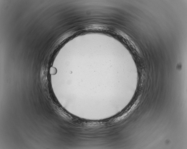 X0000116561017201001211218