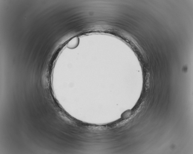 X0000116561018201001211218