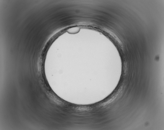 X0000116561021201001211218