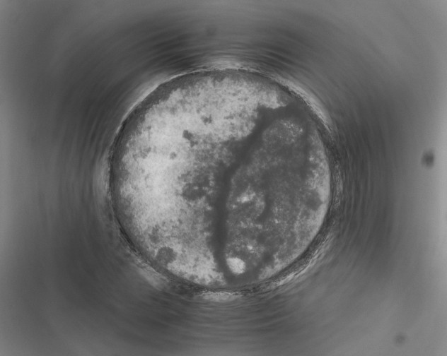 X0000116561023201001211218