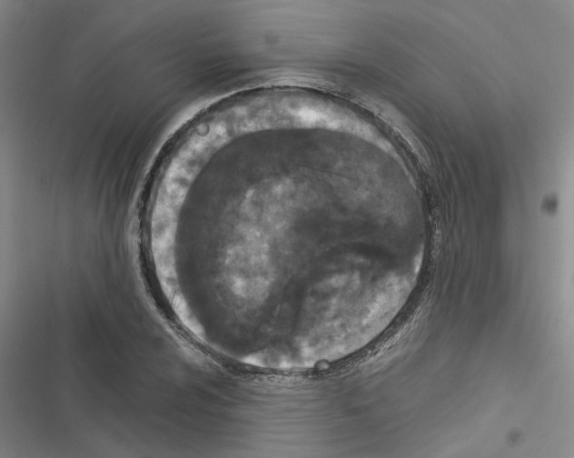 X0000116561024201001211218