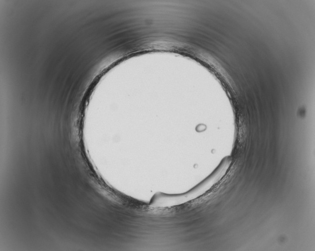 X0000116561026201001211218