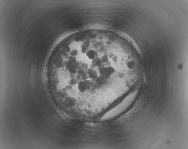X0000116561027201001211218