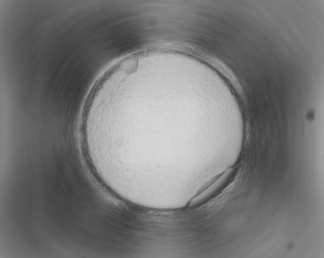 X0000116561028201001211218