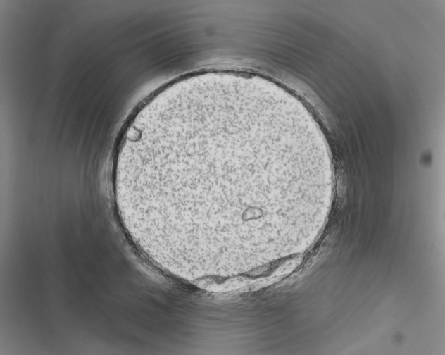 X0000116561030201001211218