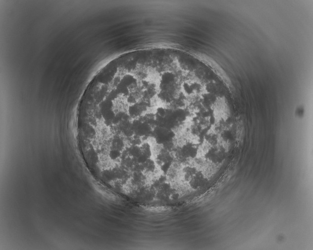 X0000116561031201001211218