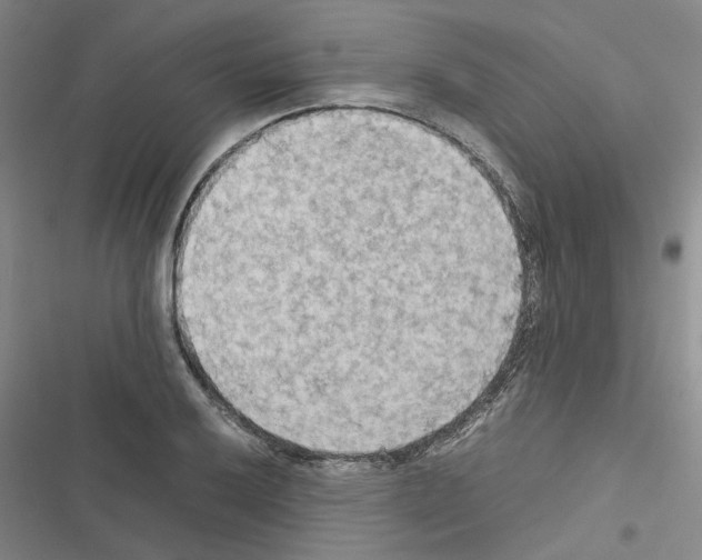 X0000116561032201001211218