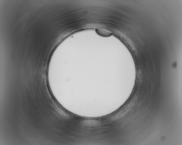 X0000116561033201001211218