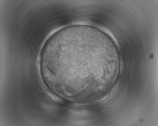 X0000116561035201001211218