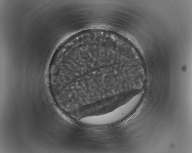 X0000116561037201001211218