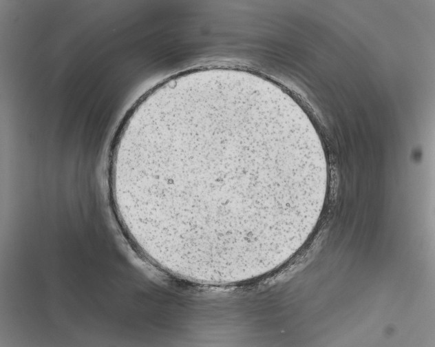 X0000116561038201001211218