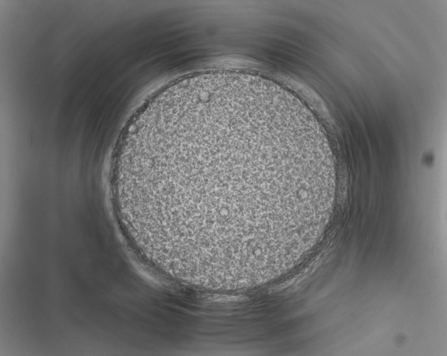 X0000116561039201001211218