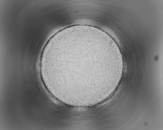 X0000116561040201001211218