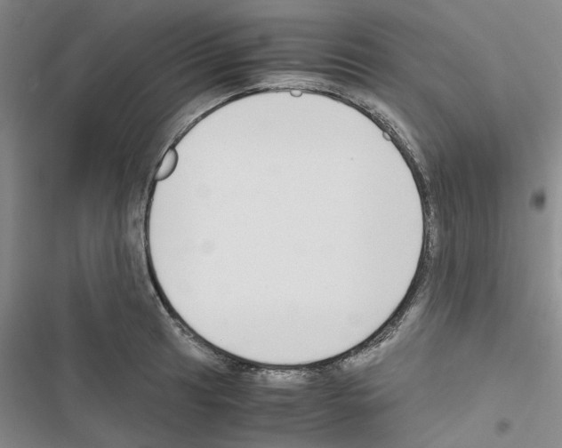 X0000116561041201001211218