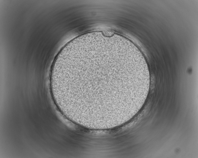 X0000116561042201001211218